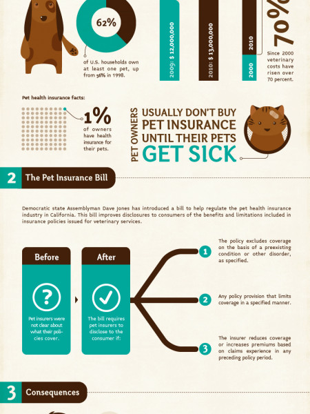 Pet Health Care Infographic