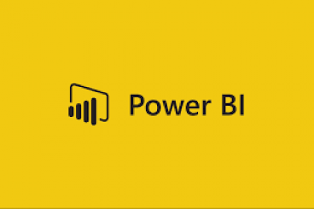 Power bi arizona Infographic