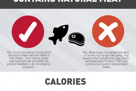 Preservation Process Infographic Infographic