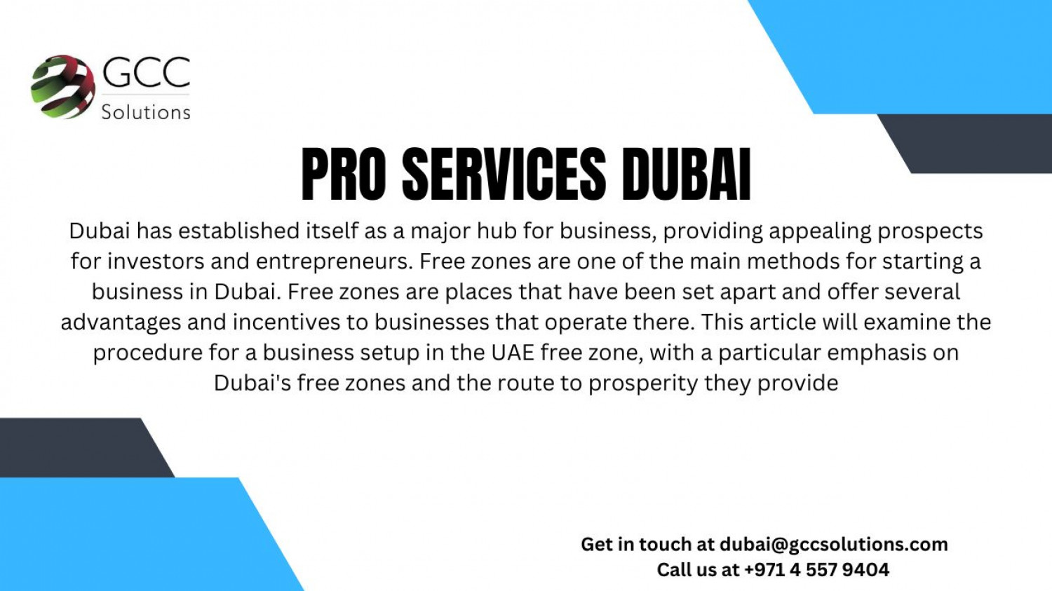 Pro Services Dubai Infographic