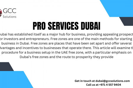 Pro Services Dubai Infographic