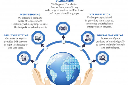 Professional Services - Vie Support Infographic