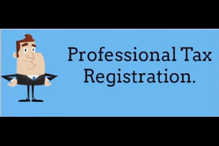 Professional Tax Registration.  Infographic