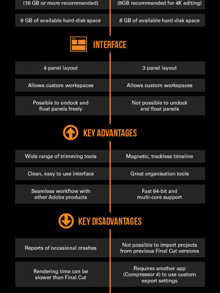 Professional Video Editing Software Infographic