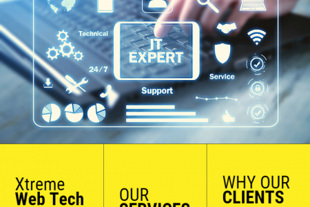 Professional Web Development Company In USA - Xtreme Web Tech Infographic