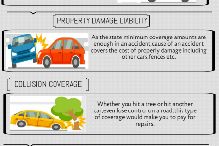 Promax Insurance Agency - Orange County Auto Insurance Infographic