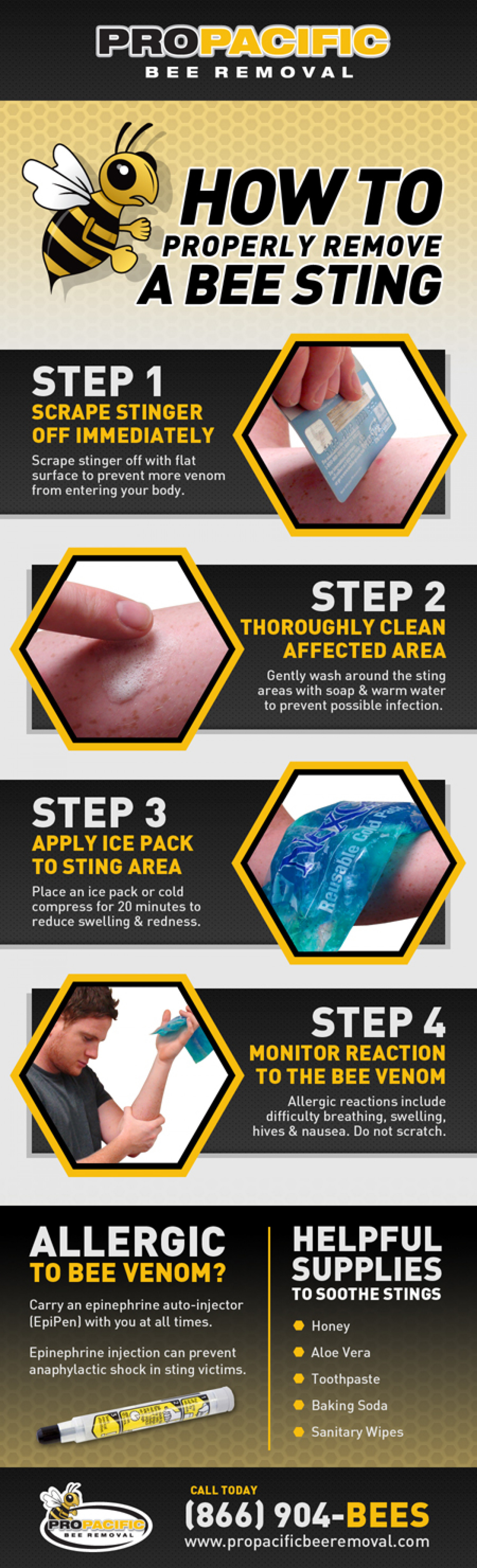 Properly Remove & Treat A Bee Sting Infographic