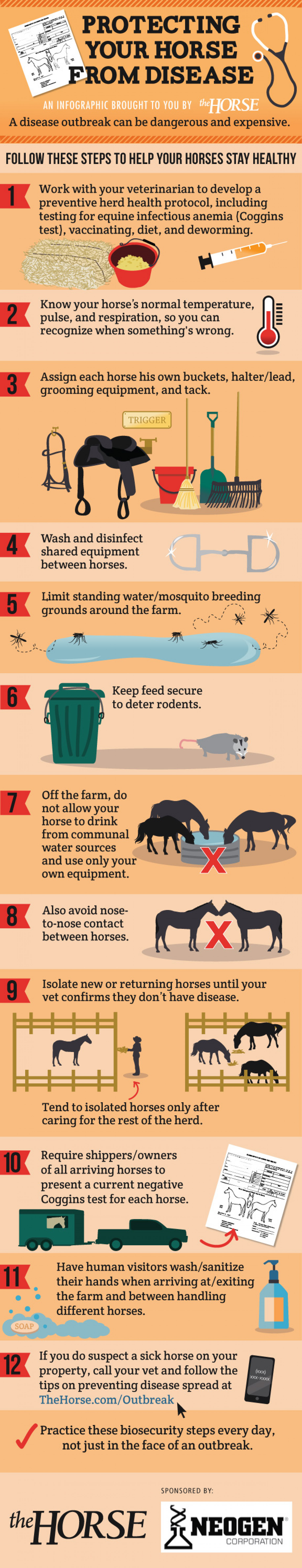 Protecting Your Horse From Disease Infographic