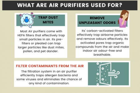 Purifying the Air:The Purpose and Benefits of Air Purifiers for Healthier Living Infographic