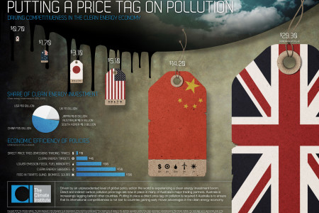 Putting a Price Tag on Pollution Infographic