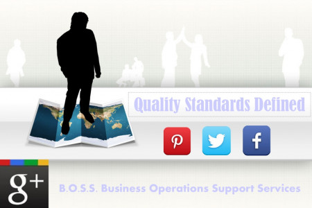 Quality Standards Defined Infographic