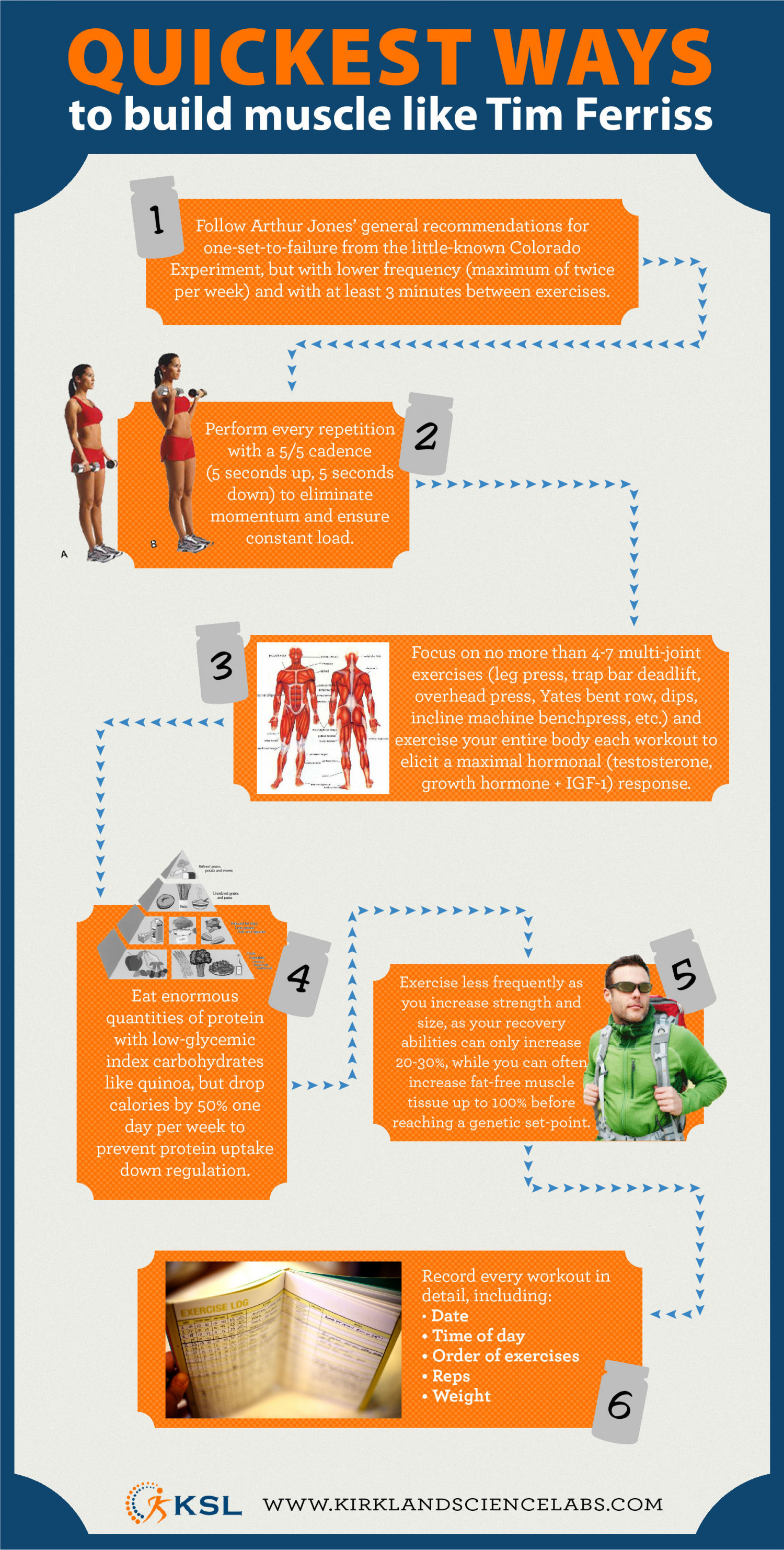 Quickest Way to Build Muscle like Tim Ferriss  Infographic
