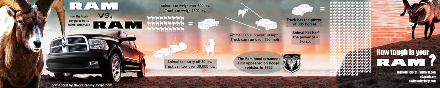 RAM vs RAM – The award-winning truck compared to its animal namesake (infographic) Infographic