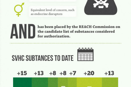 REACH: Compliance and Growth in the Electronics Industry  Infographic
