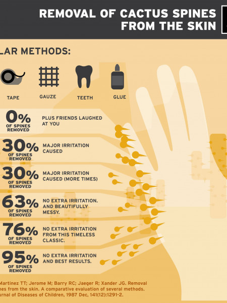 Removal of Cactus Spines From the Skin - REI Infographic