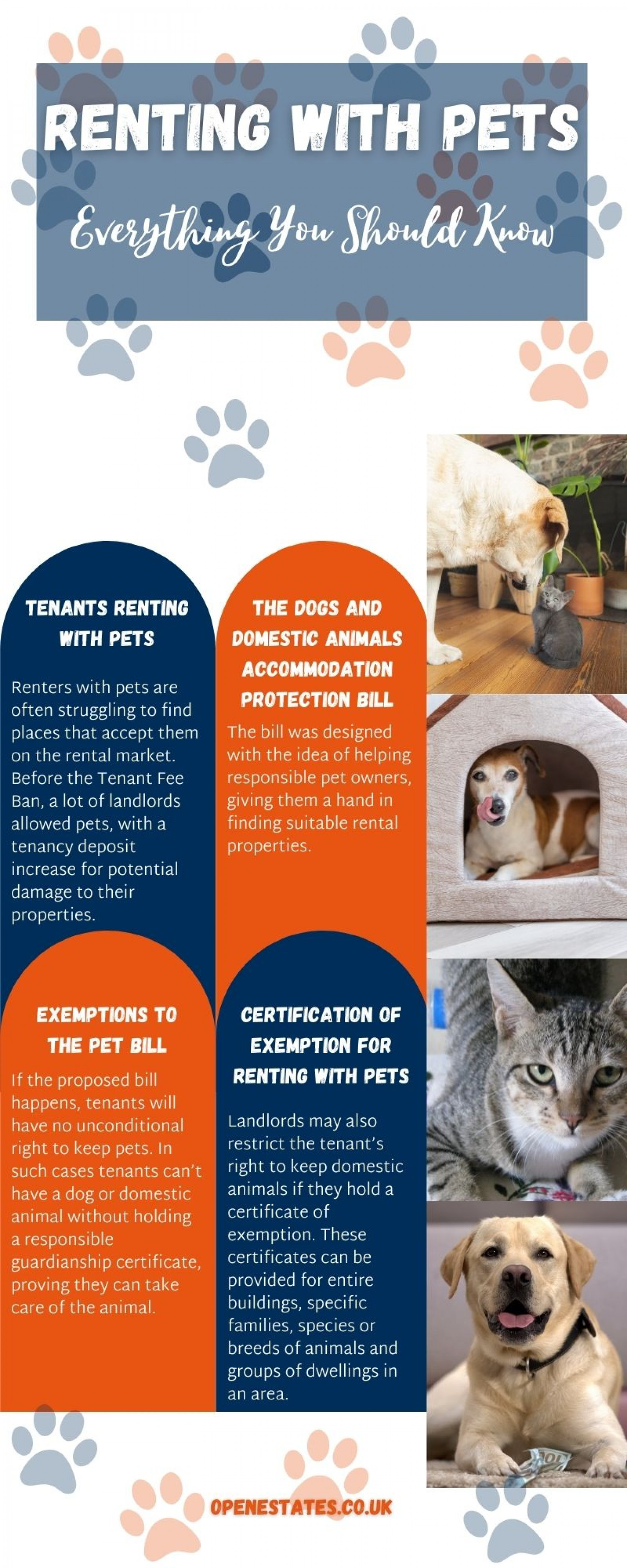 Renting with Pets  - Everything You Should Know Infographic