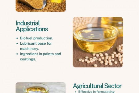 Revealing The Uses and Benefits of Soybean Acid Oil Infographic