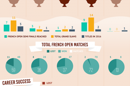Roland Garros 2016 - Top 5 ATP Players Infographic