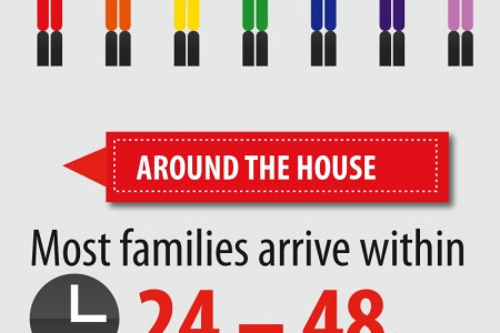 Ronald McDonald House Charities of Memphis Families Infographic