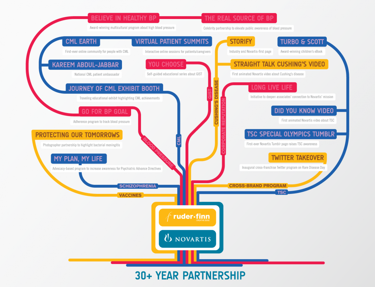 Ruder Finn + Novaritis Infographic