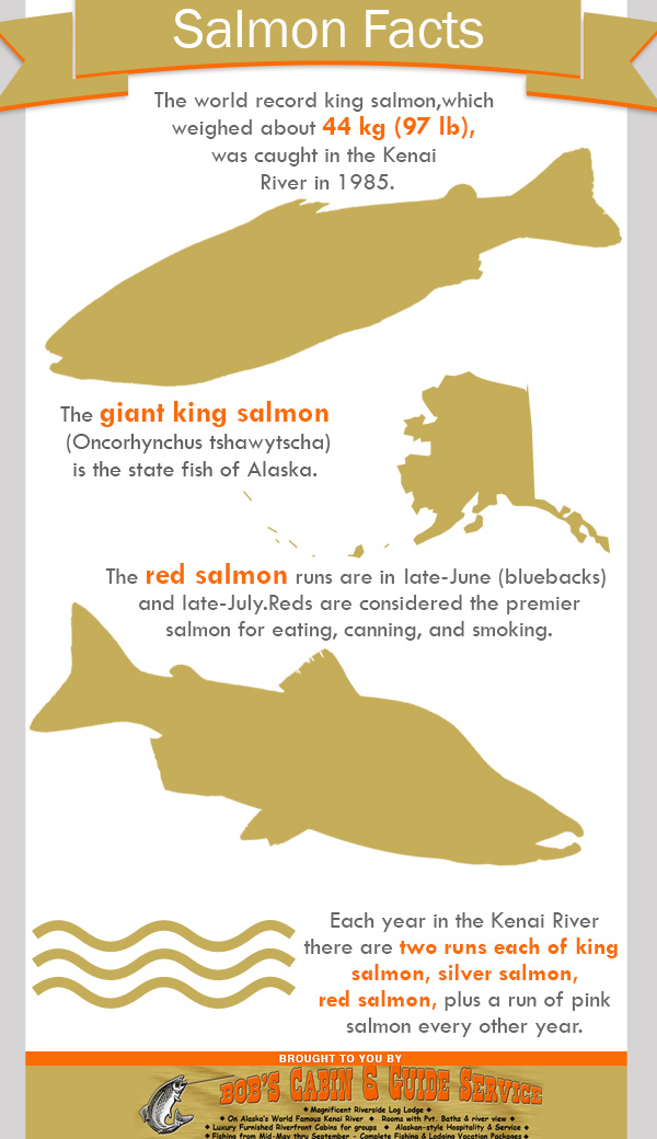 Salmon Facts