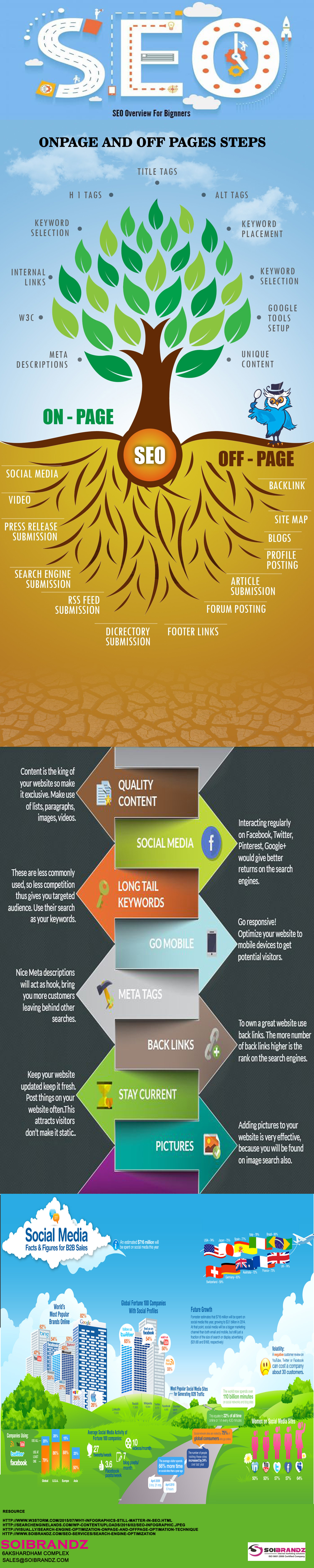 Search Engine Optimization Overview - Beginners Guide  Infographic