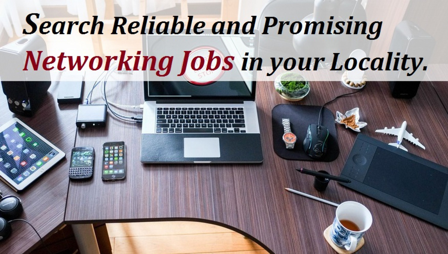 Search Reliable and Promising Networking Jobs in your Locality. Infographic