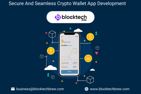 Secure And Seamless Crypto Wallet App Development Infographic