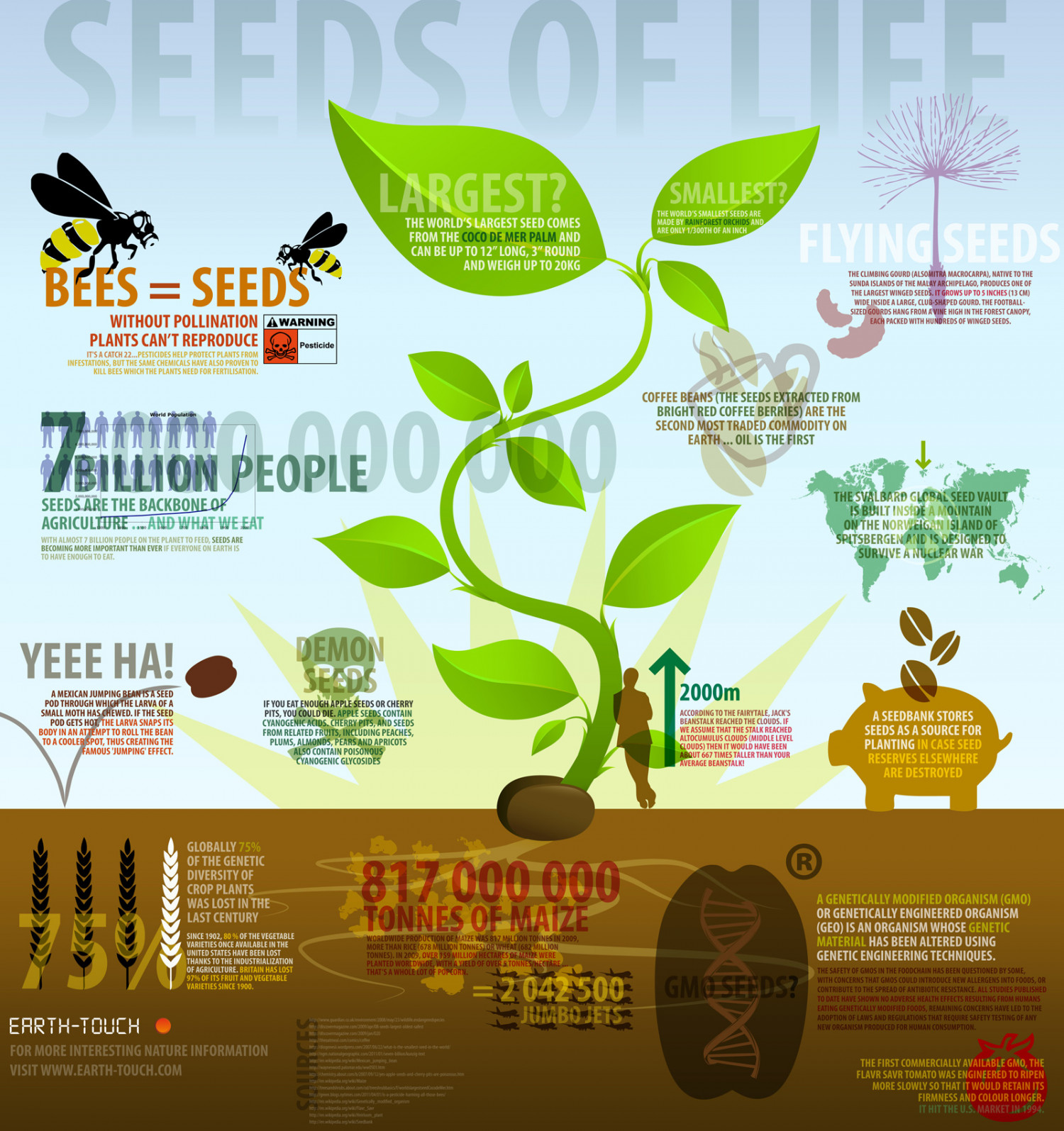 Seeds of Life Infographic