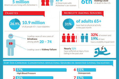 Senior Health Care Services, Aging Gracefully with Quality Care  Infographic