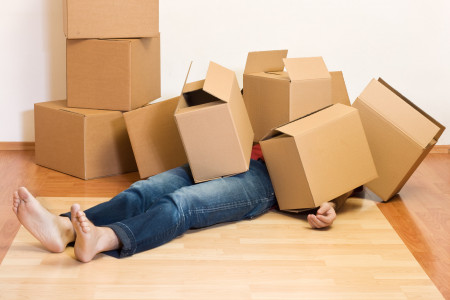Should I Move All By Myself Or Hire a Moving Company? Infographic