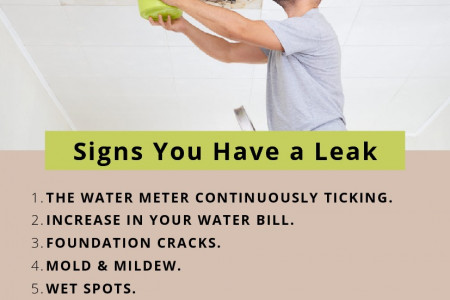 Signs You Have a Leak Infographic
