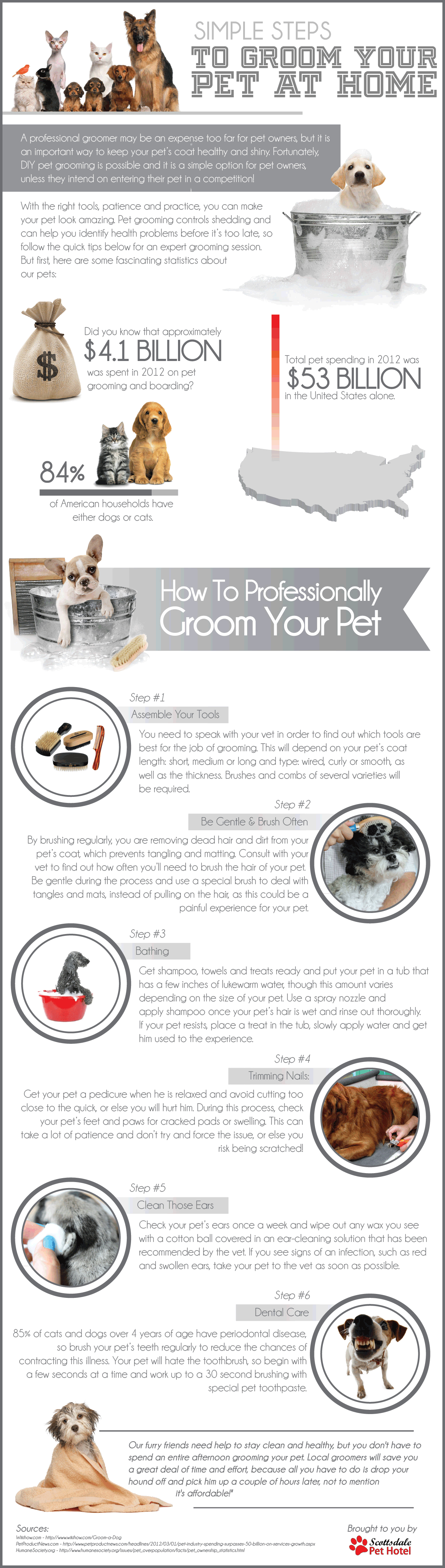 Simple Steps to Groom Your Pet at Home Infographic