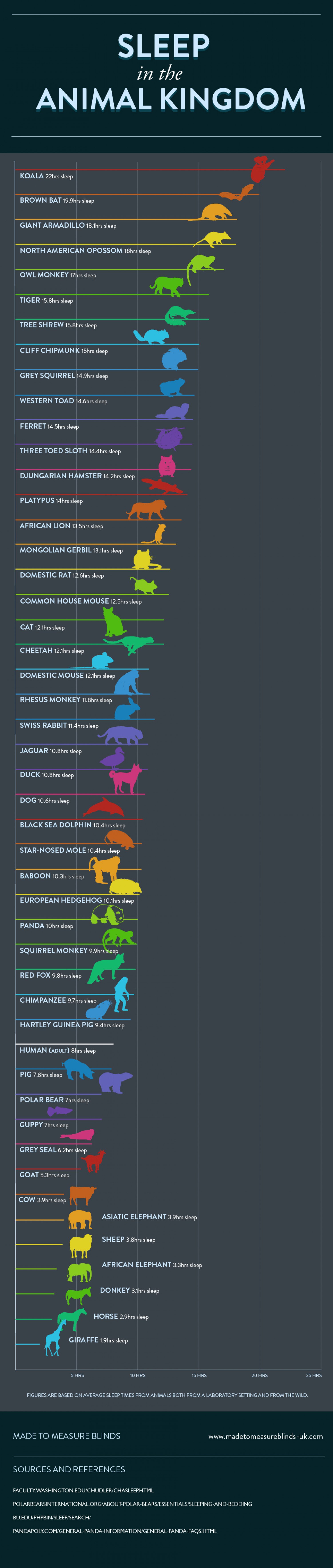 Sleep in the Animal Kingdom Infographic