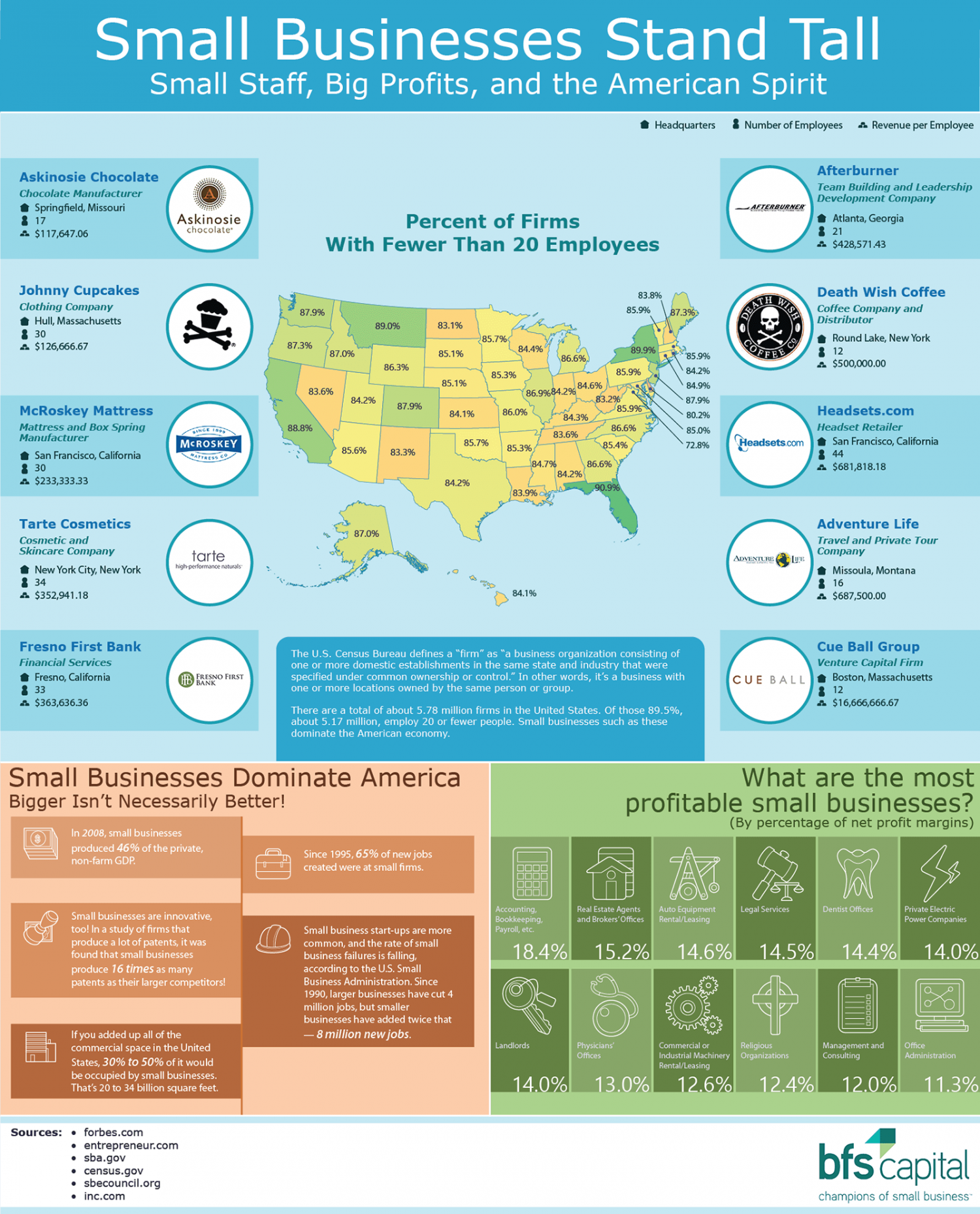 Small Businesses Stand Tall: Small Staff, Big Profits, and the American Spirit Infographic