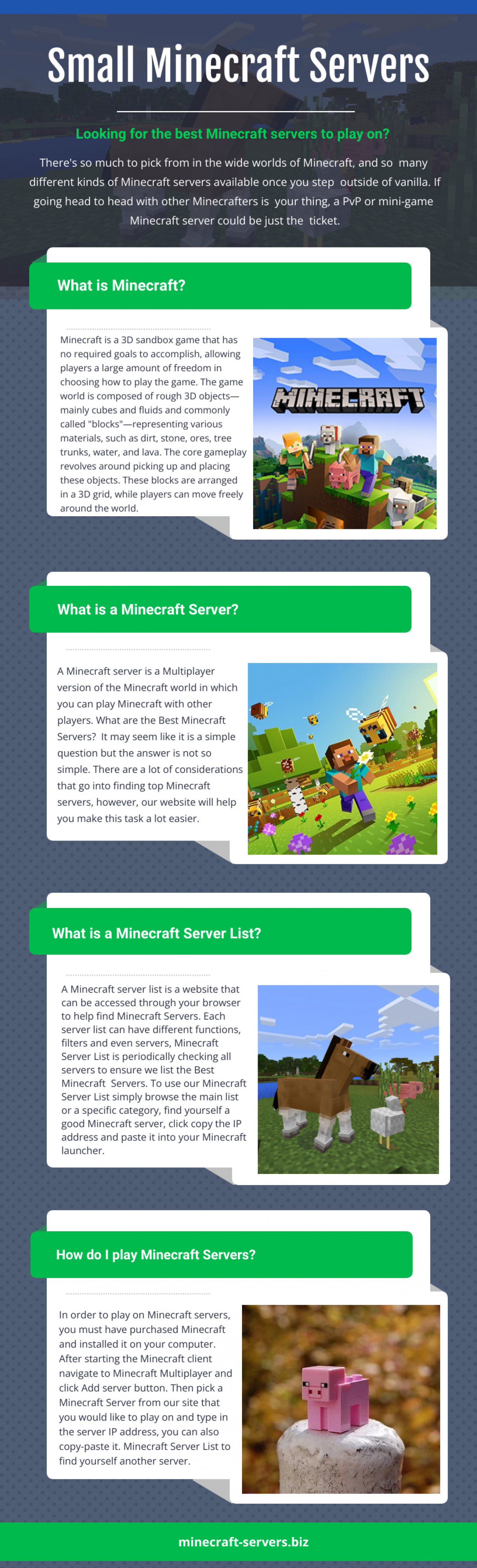 Small Minecraft Servers Infographic