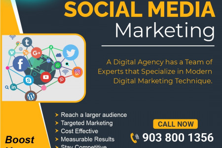 Social Media Marketing (SMM)  Infographic