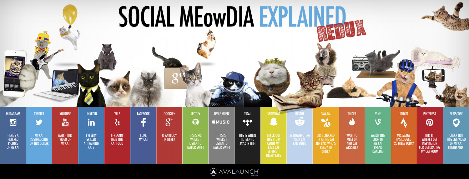 SOCIAL MEowDIA EXPLAINED REDUX Infographic