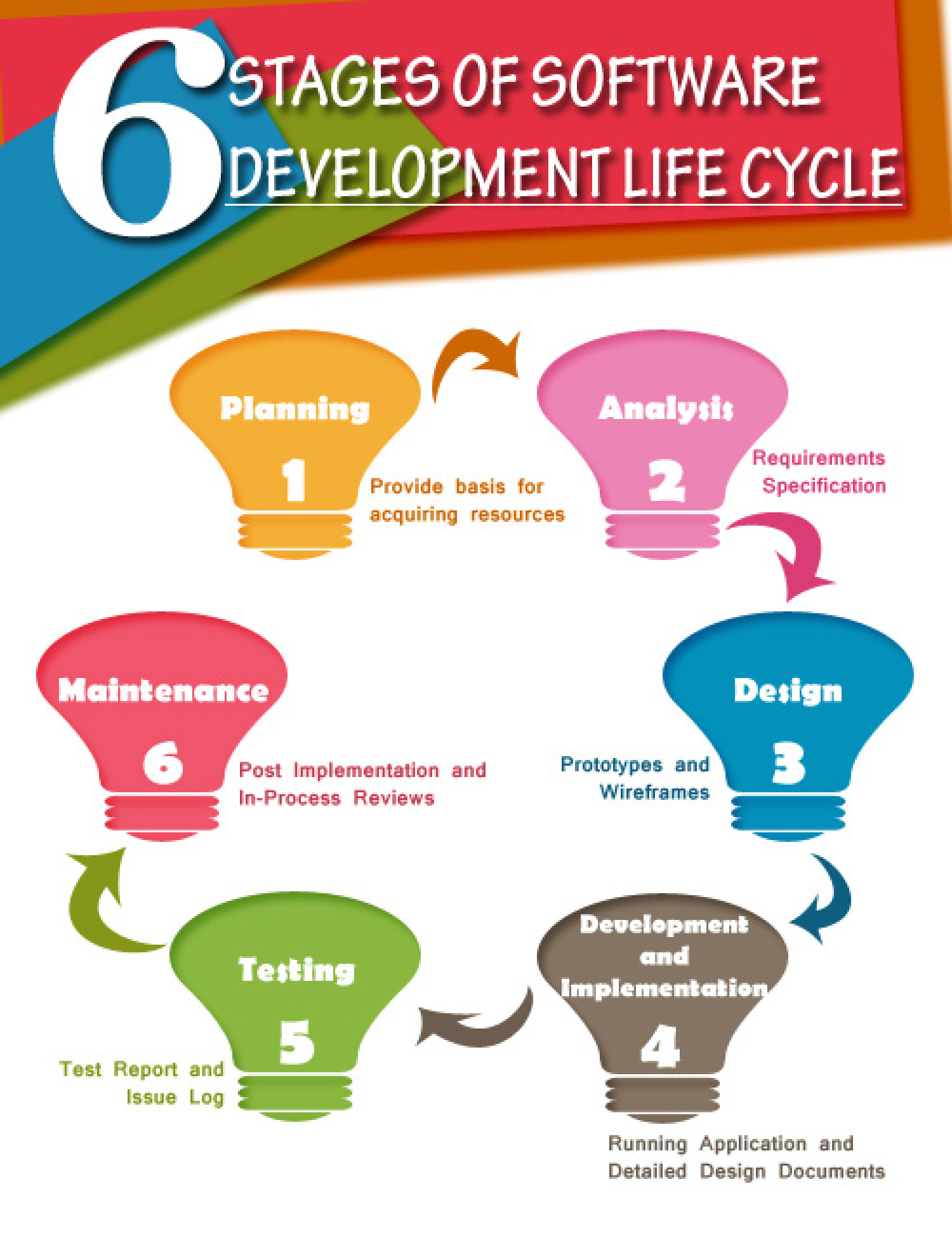 Software Development Infographic