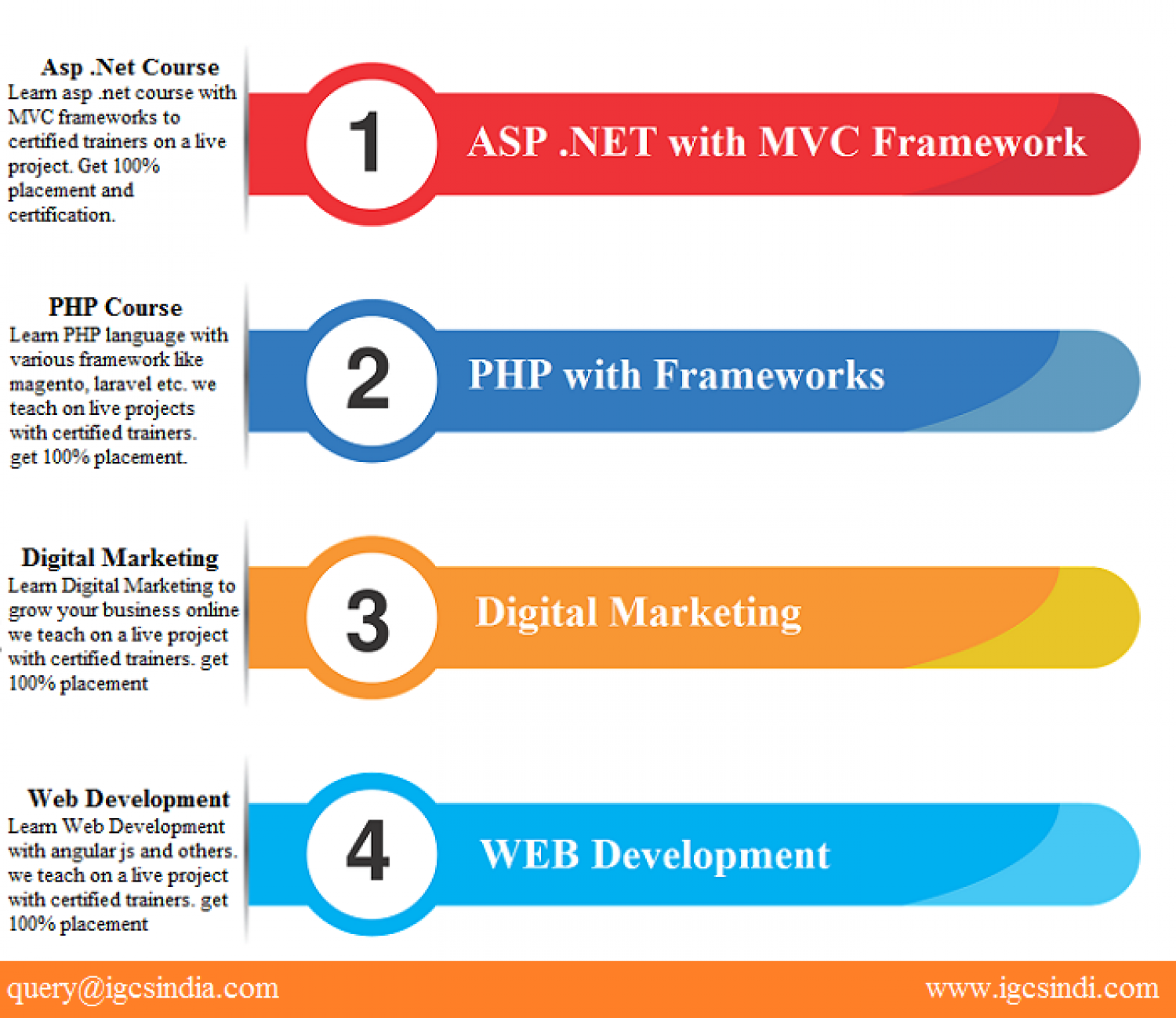 Software Programming Language Training in Delhi Infographic