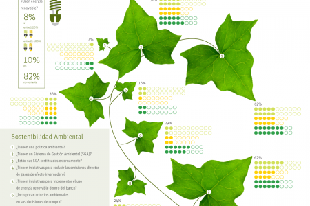 Sotenibilidad Ambiental Infographic