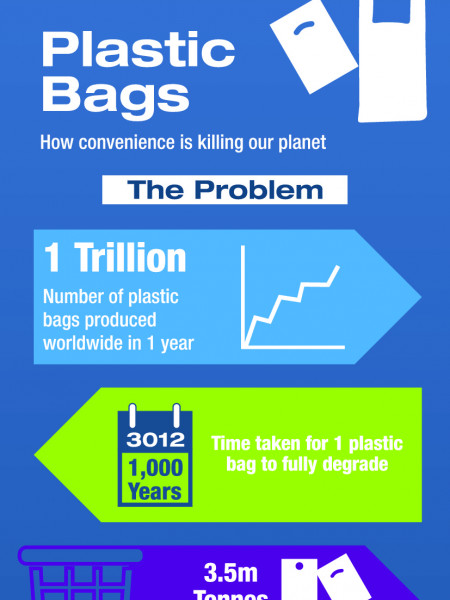 Sources of Plastic Infographic