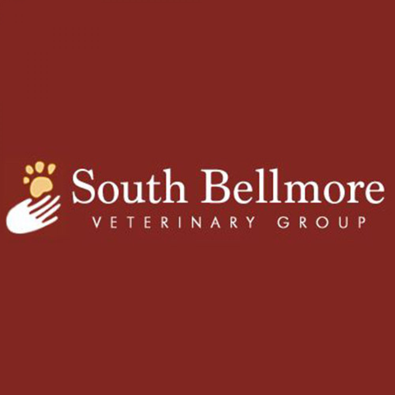 South Bellmore Veterinary Group Review: How to achieve the best health for your furry pets Infographic