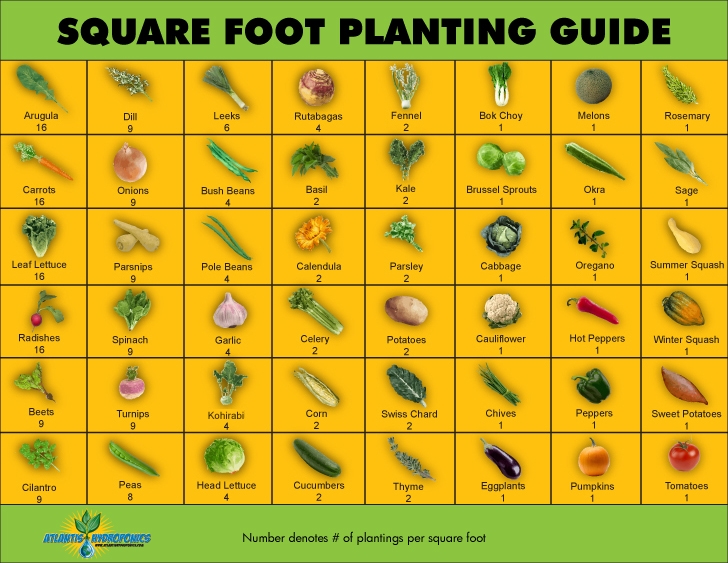 turnips square foot garden planner