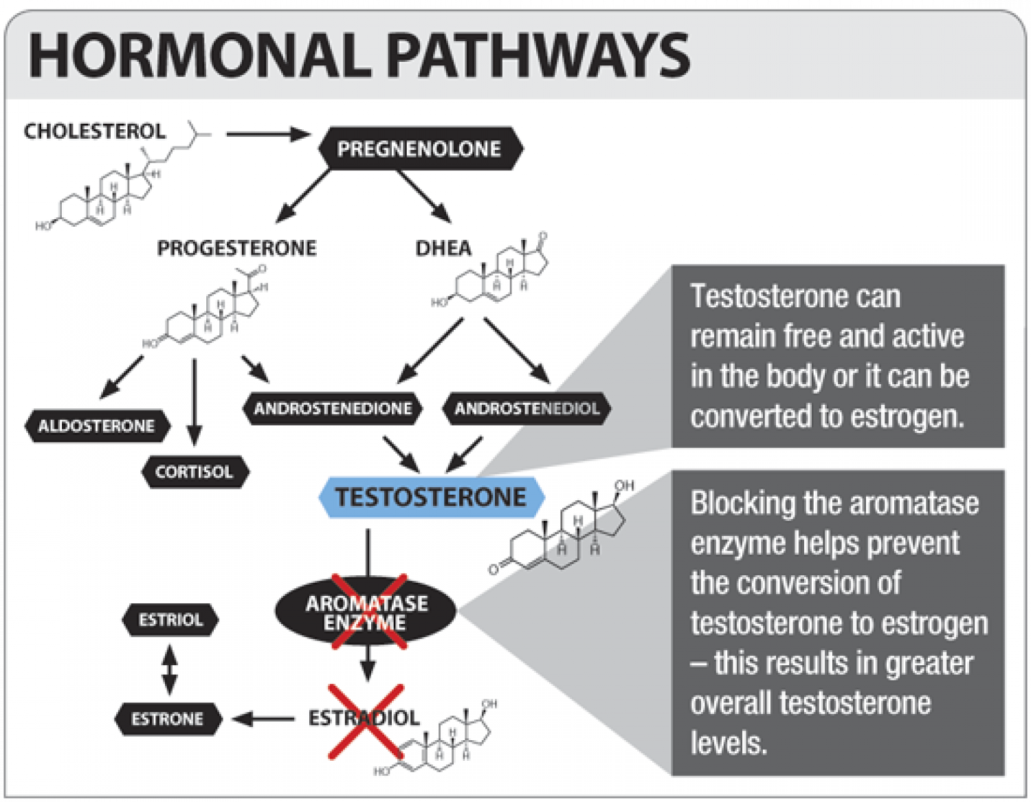 STACK WITH TESTOSTERONE BOOSTERS! Infographic