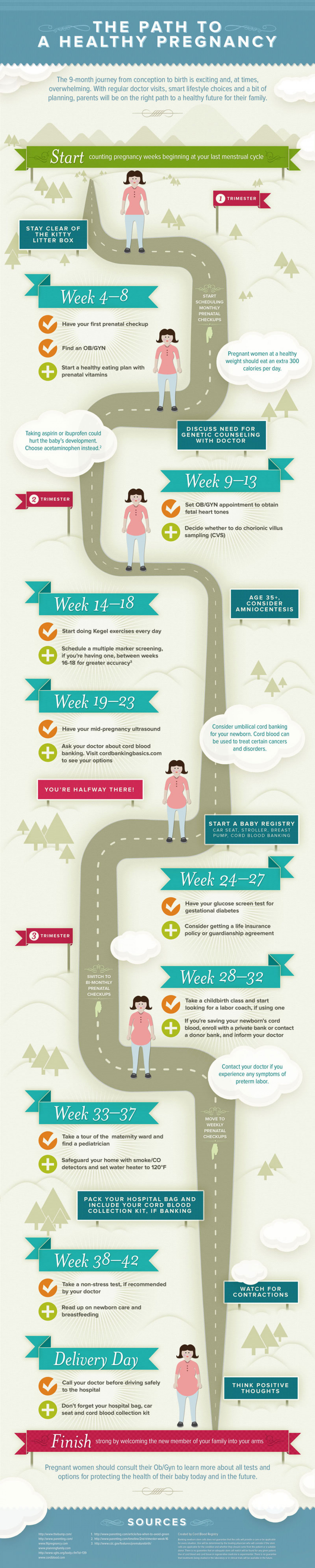 Stages of Pregnancy Infographic