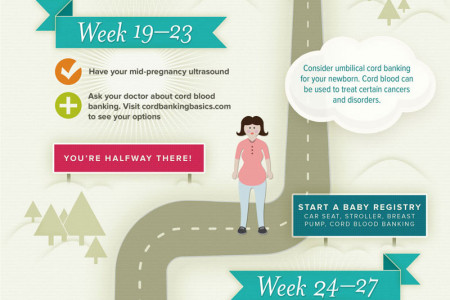 Stages of Pregnancy Infographic