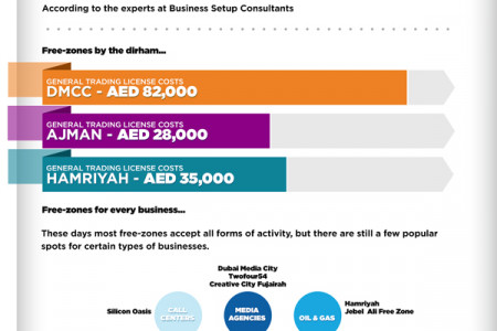 Starting Your Free Zone Business in Dubai Infographic