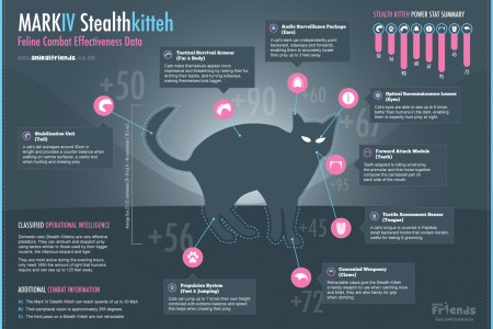 Stealth Kitteh Infographic