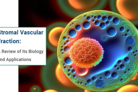 Stromal Vascular Fraction: A Review of Its Biology and Applications Infographic